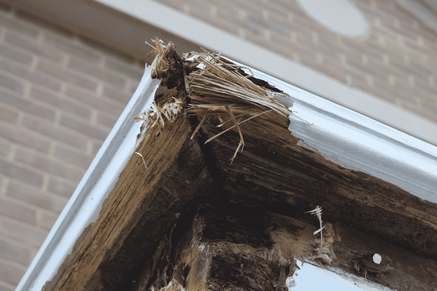 Replacing severely rotted wood with new wood.