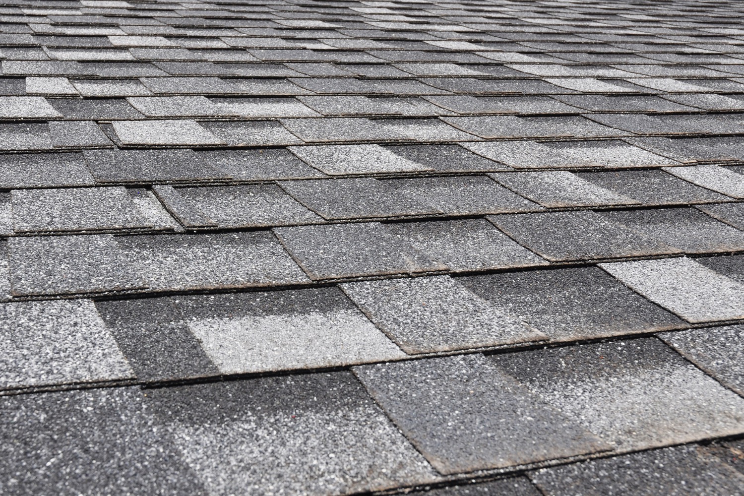 shingle roofing