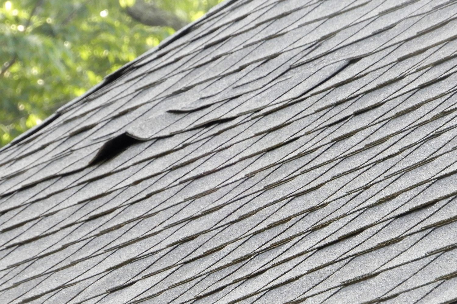 curling shingles